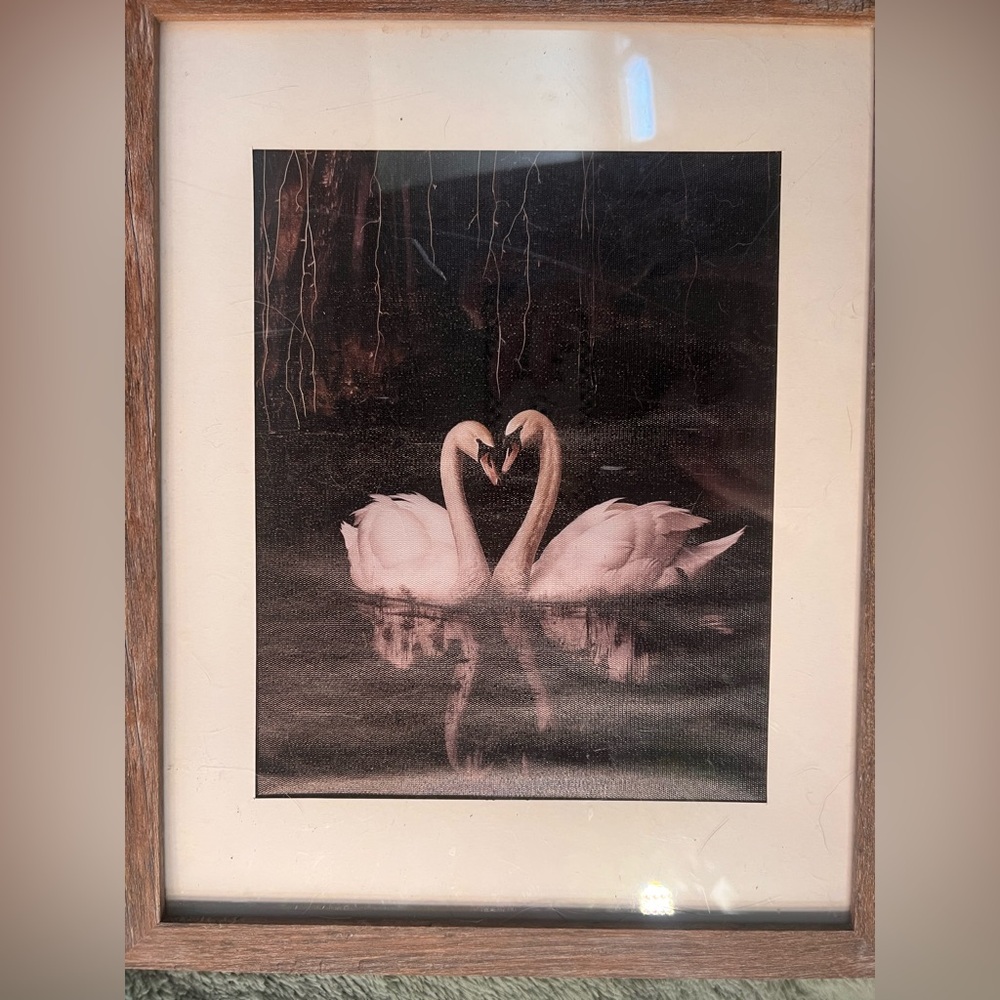 Swan Pair Wall Art Print in Soft Pink and Black